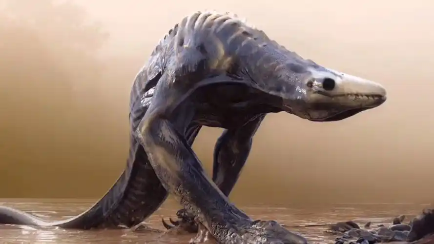 首先关于起源,君主生物档案有一些描述,它们是入侵到骷髅岛的一种超级