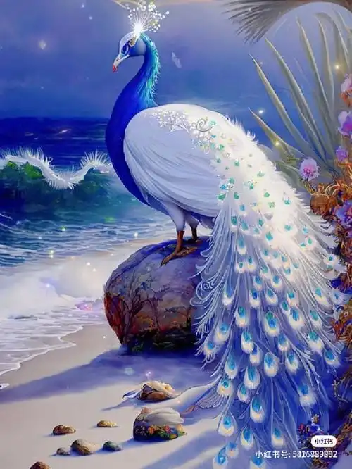 好看的孔雀你们喜欢吗