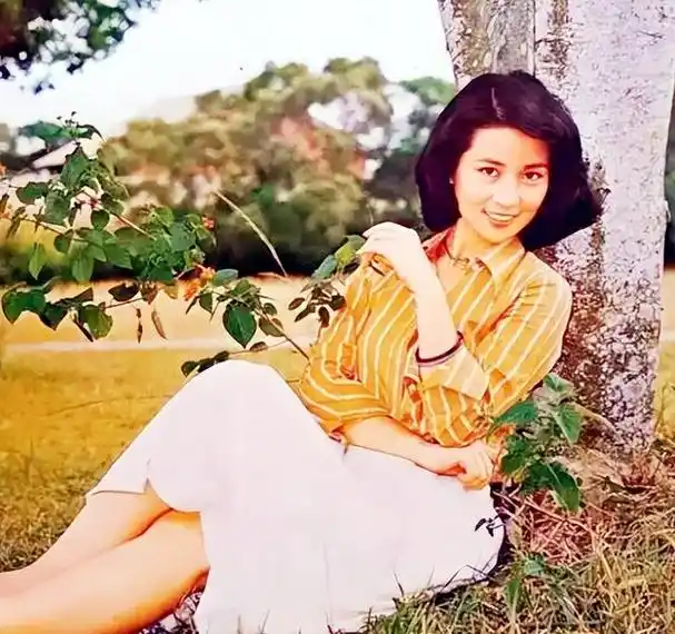 女星林凤娇嫁给成龙40年为何烦恼多于幸福