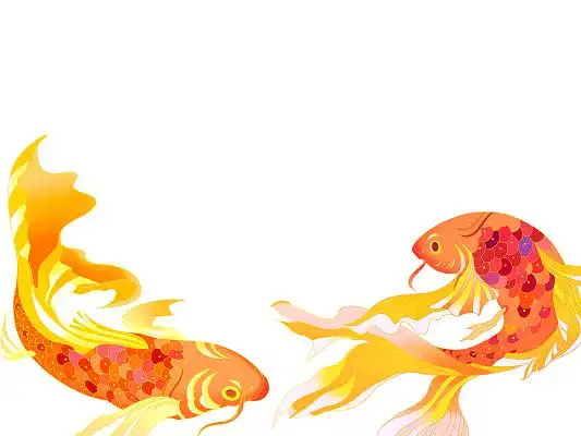 彩色鲤鱼图片