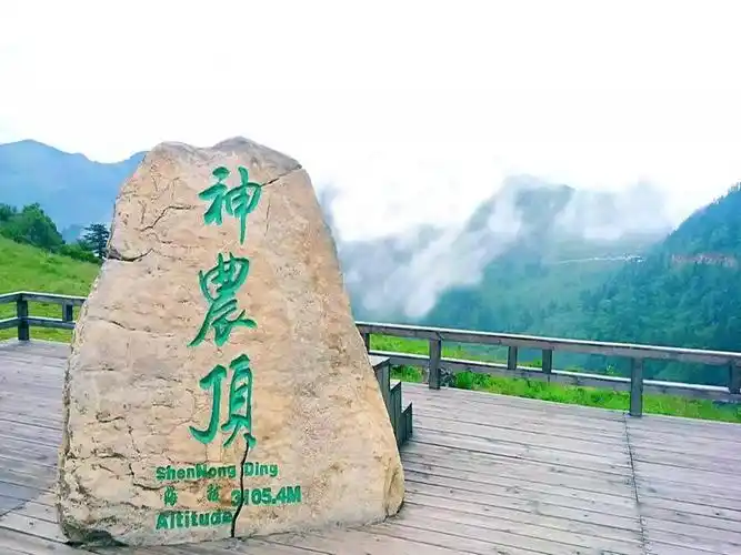 前往神农顶游客中心,换乘景区环保车游览神农架世界自然遗产,世界地质