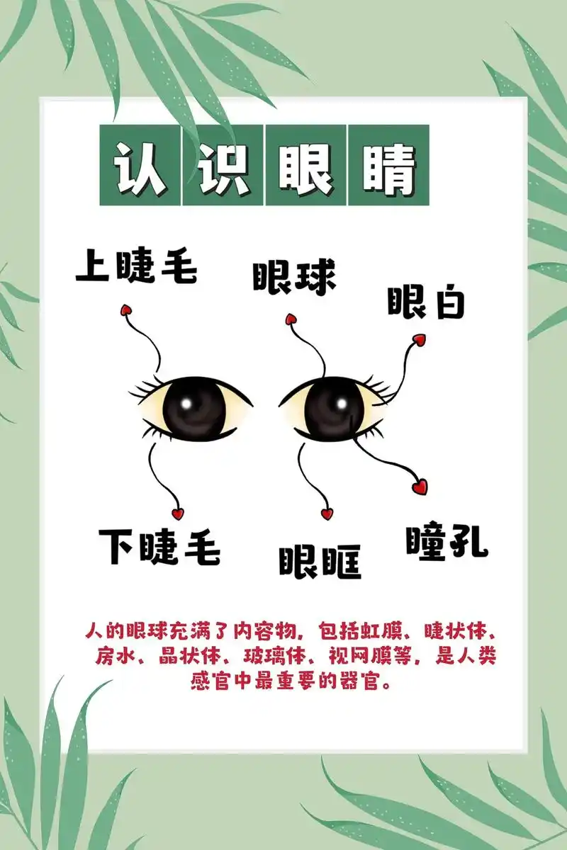 幼儿园保护眼睛主题,家长幼师必收藏‼️