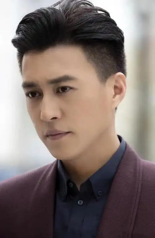 中国最帅的男明星「中国公认十大美男」  第9张