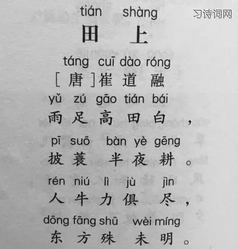 田上崔道融古诗原文翻译及鉴赏