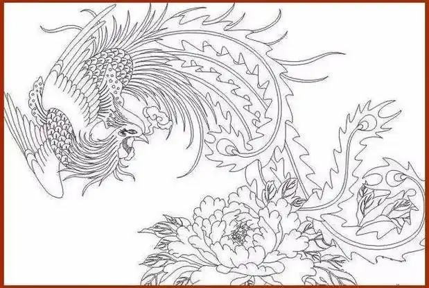 素材| 一组优美的凤凰白描线稿18图
