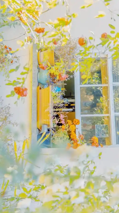 小清新城市风景手机壁纸