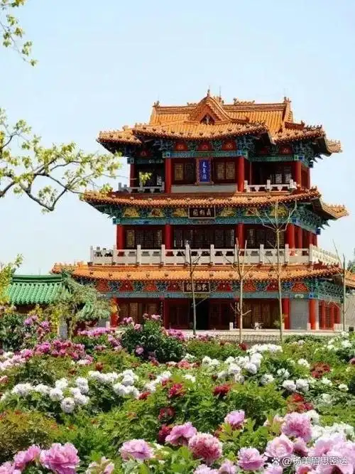 从菏泽旅游回来有些话不知当讲不当讲带你看看真实的菏泽生活