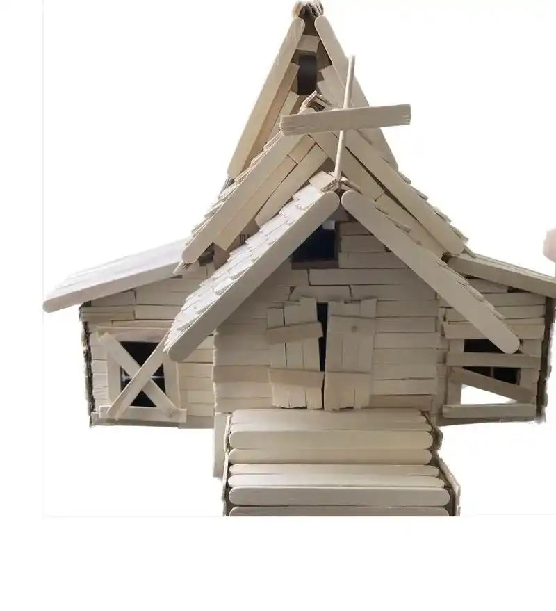 建构房子完成咯 #废旧纸箱#雪糕棒 - 抖音