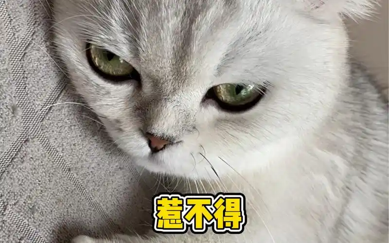 说到重点的时候,眼神里都是鄙视