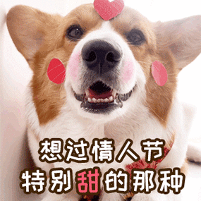 214情人节专用表情包想过特别甜的那种礼物方案我都想好了