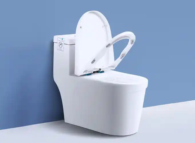 ds-2119 大管道双孔超漩式连体坐便器