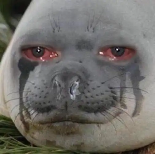 哭红了双眼_哭红_双眼表情