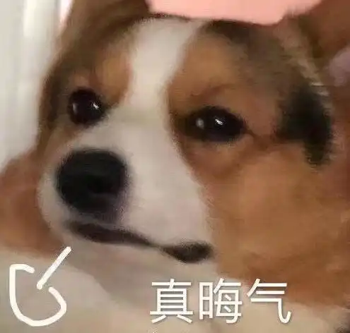 两家亲人:tmd,真晦气.