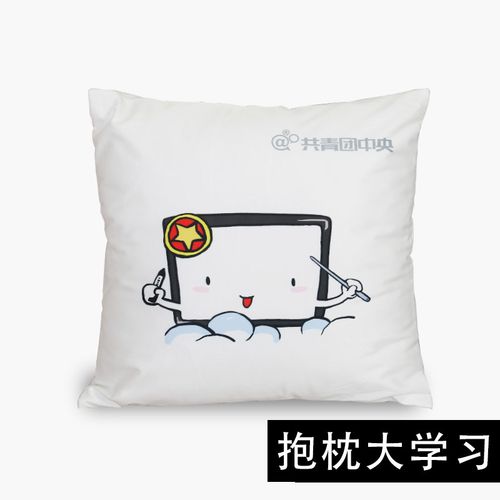 共青团公仔 共青团团务用品抱枕团员吉祥物方形抱枕五种团宝卡通l