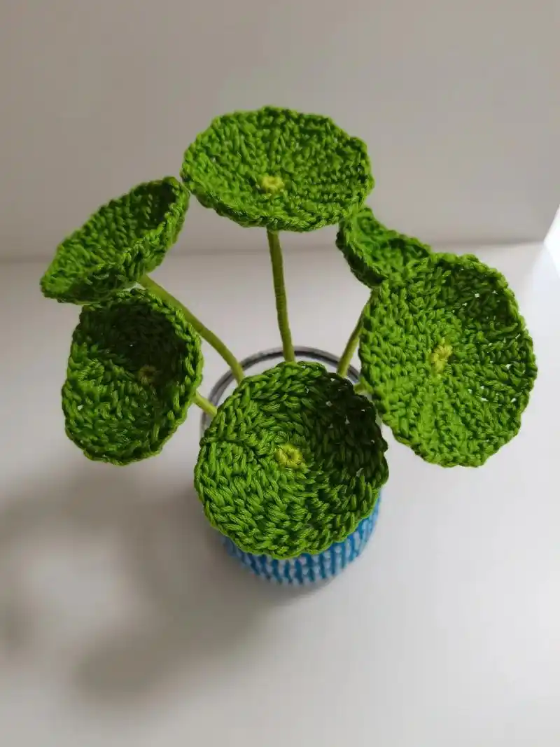 纯手工钩织铜钱草毛线花成品带花盆#手工定制 #创意手工 #手 - 抖音