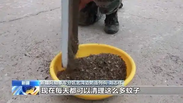 守卫祖国边防线的战士 巡逻在"蚊虫王国"的北湾官兵