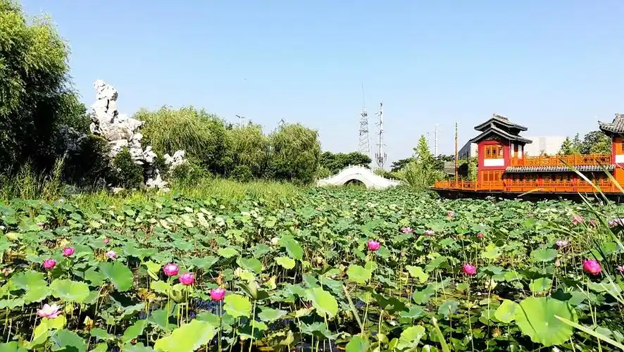 扬州市宝应县曹甸镇楚甸公园荣获江苏省最美乡村健身公园称号