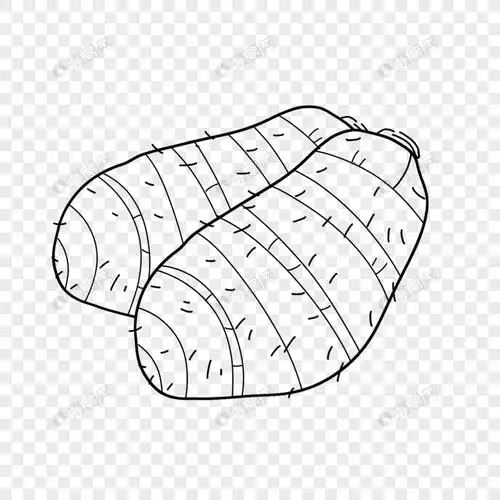 芋头简笔画线稿