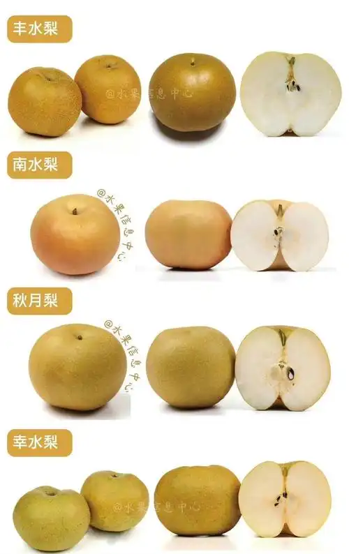 黄金梨品种介绍,如何分辨秋月梨和丰水梨