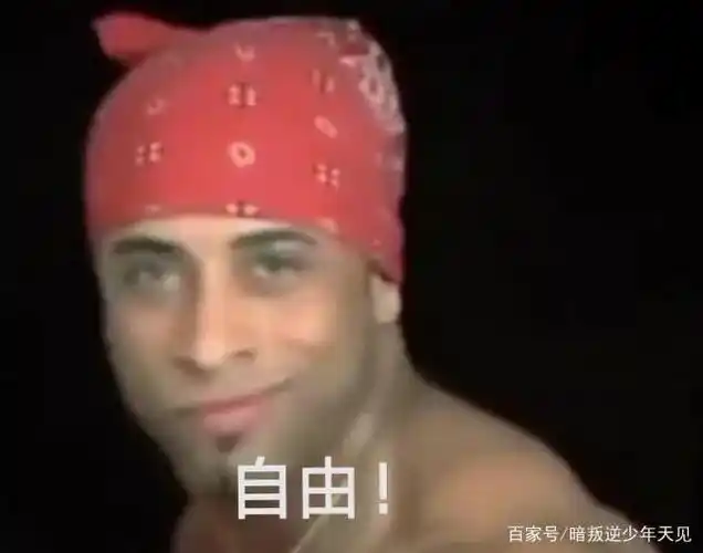 cp党们省省吧,艾伦是自由的!