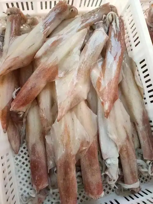 手钓鱿鱼筒真心推荐肉厚不出水q弹白