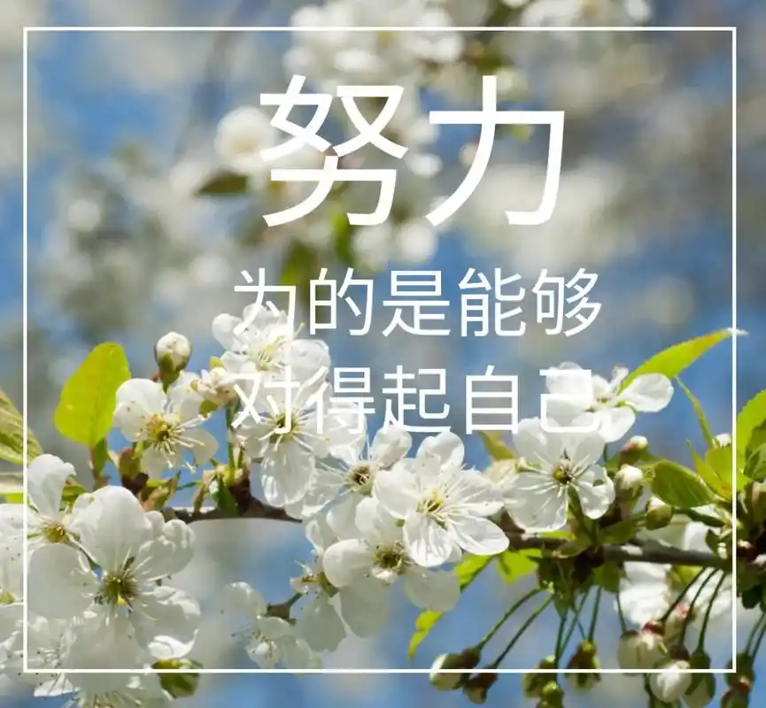 早安问候带字动态表情图片励志向上的早安祝福语