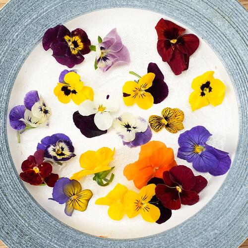 新鲜食用三色堇西餐日料咖啡饮品调酒蛋糕烘焙装饰摆盘花草三色花