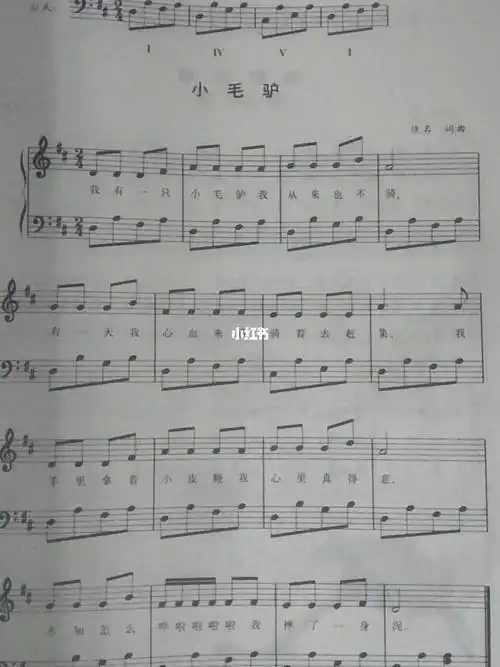 小毛驴钢琴简谱双手