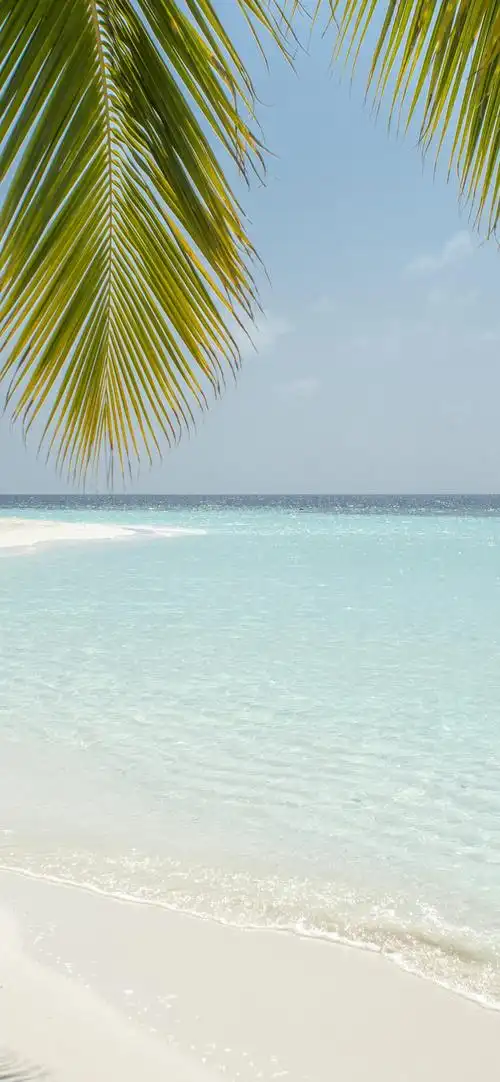 【壁纸】夏日清凉壁纸,换上清凉一夏