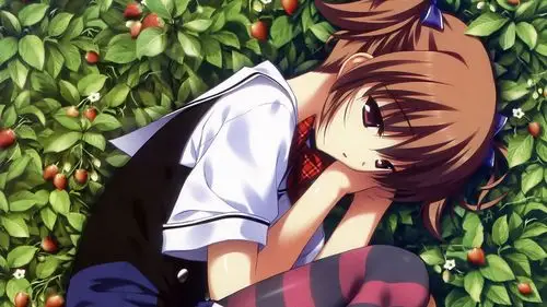 灰色的果实动漫,桌面背景图片,高清桌面壁