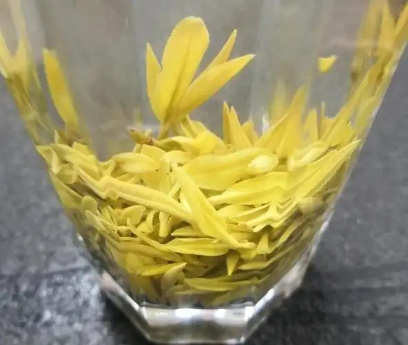 五峰黄金芽怎么喝五峰黄金芽的正确泡法