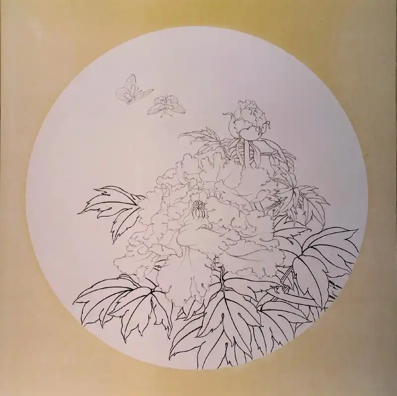 卡纸工笔牡丹.牡丹图线描稿已完成,今晚直播上颜色,欢迎大家来 - 抖音