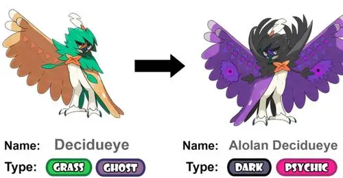 狙射树枭是木木枭的最终进化型,它的翅膀内藏着非常锋利的箭羽.