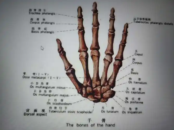 关节松动技术的康复应用