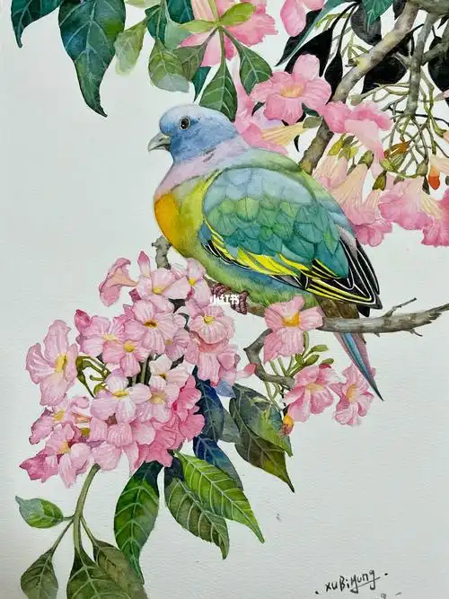 水彩花鸟