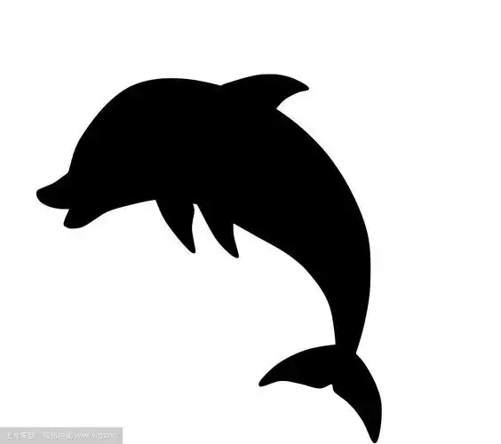 海豚轮廓跳