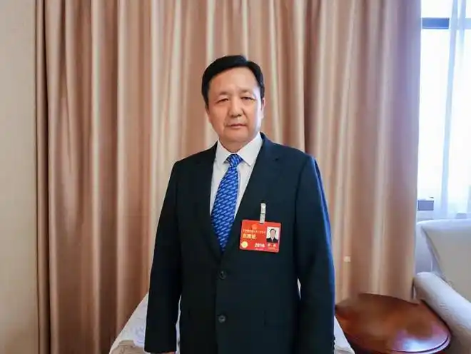 全国人大代表特变电工董事长张新推进电力源网荷储一体化项目落地