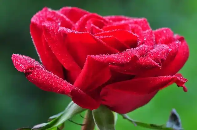 9月运势风起云涌,财神爷庇佑,生财有道,家业兴旺,富贵不愁