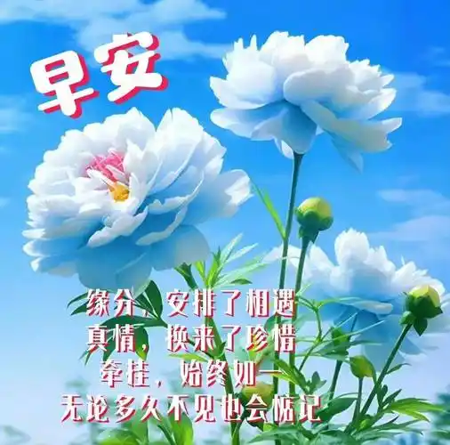 天地有爱,人间有情,相互牵挂,快乐同行!早安吉祥!_风雨_手机_李小托