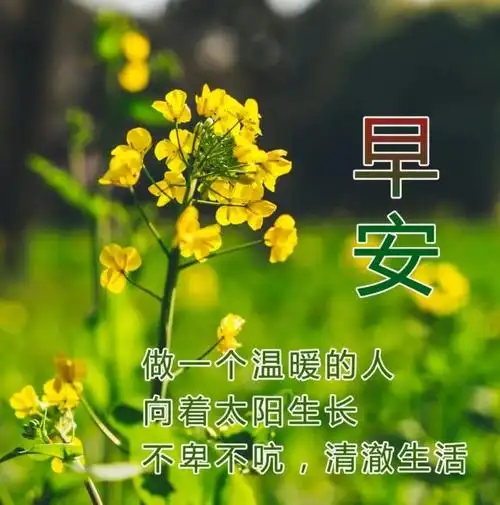 特别漂亮的早上好图片 最美 温馨 早上好祝福语 早上好漂亮的图片