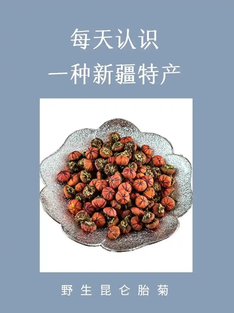 每天认识一种新疆特产-昆仑雪菊.昆仑胎菊,亦名血菊,昆仑胎菊 - 抖音