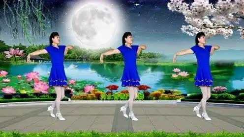 河北青青广场舞0:03:05蔡妍卓,钟欣潼,文咏珊,卢靖姗合唱《月朦胧鸟