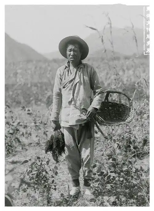 清朝末年,农民挖出一举世国宝,价值远超后母戊鼎,专家都眼馋