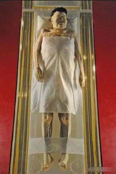 辛追夫人简介- 历史故事_赢家娱乐