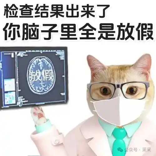 骗光6套房后还被小三!