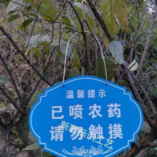 已喷农药 请勿触摸 10*15cm 带形状