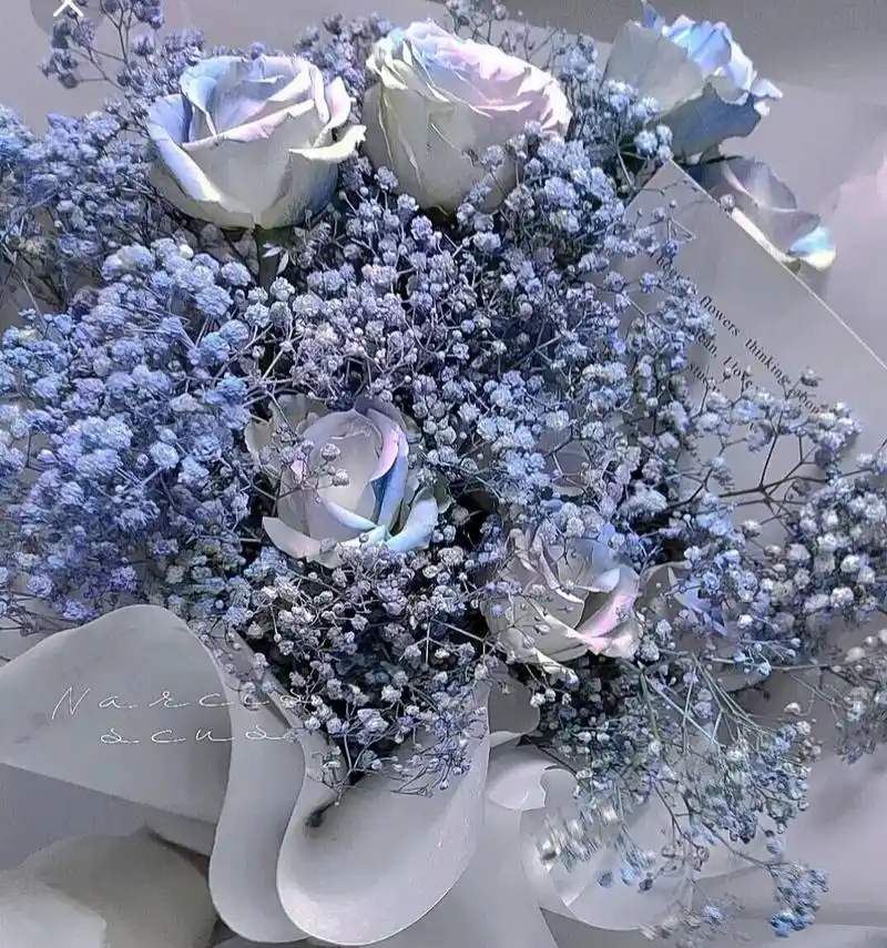 满天星背景图 我携满天星辰赠与你,扔觉得满天星辰不如你.