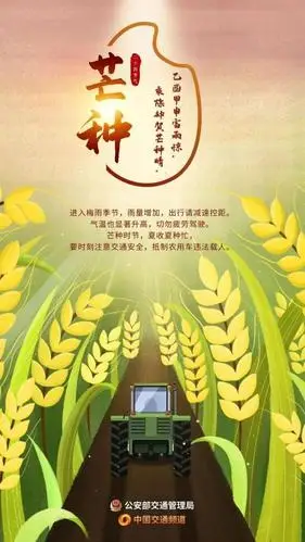 芒种时节,夏收夏种忙,交通安全不能忘