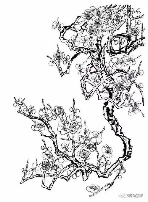 又一组梅花白描画谱老树虬枝苍劲高洁