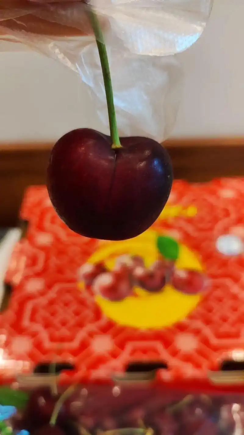 21:00 全部评论 大家都在搜: 筱秀 粉丝 4244 获赞 4644 关注 拉宾斯